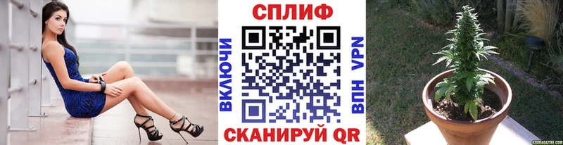 Виды наркоты Щучье Alpha-PVP  ГЕРОИН  МЕФ  ГАШИШ  Каннабис 