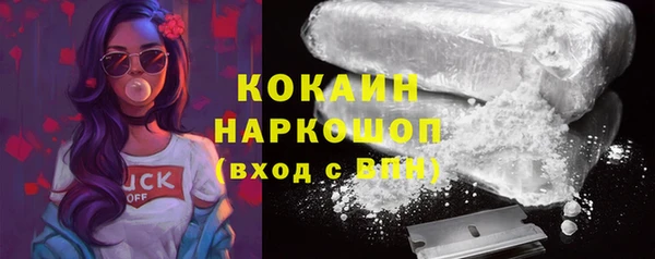 тгк Абаза