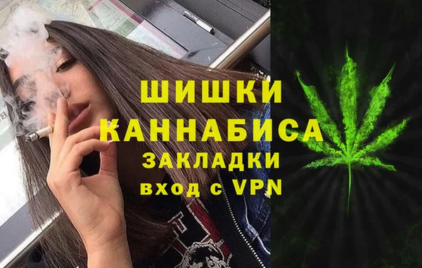 тгк Абаза