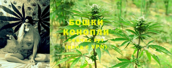 молекула духа Сафоново