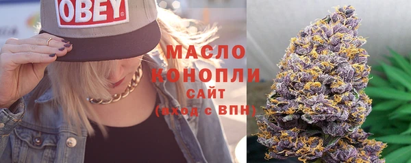 тгк Абаза